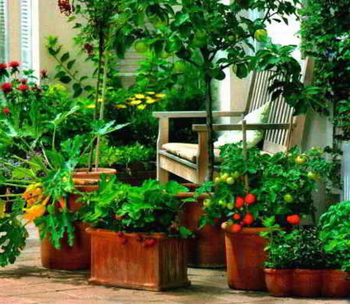 огород на балконе
